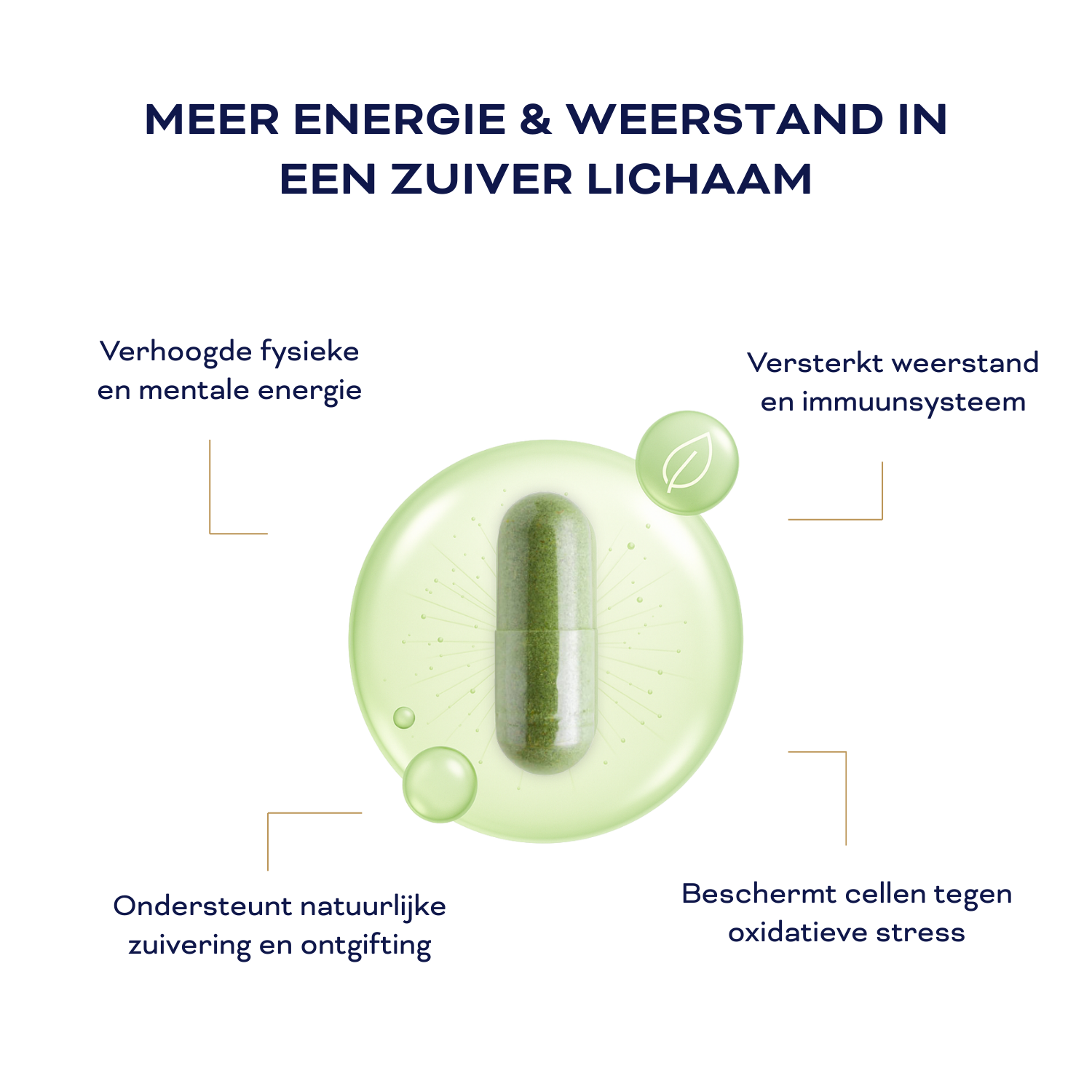 CLEAN ENERGY