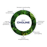 FLOW SHAKE PROTEIN+ TRIO PACK