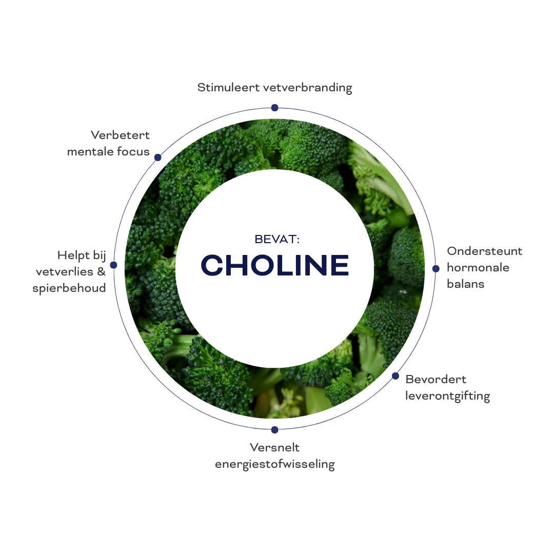 FLOW SHAKE PROTEIN+ - CHOCOLATE CAPPUCCINO