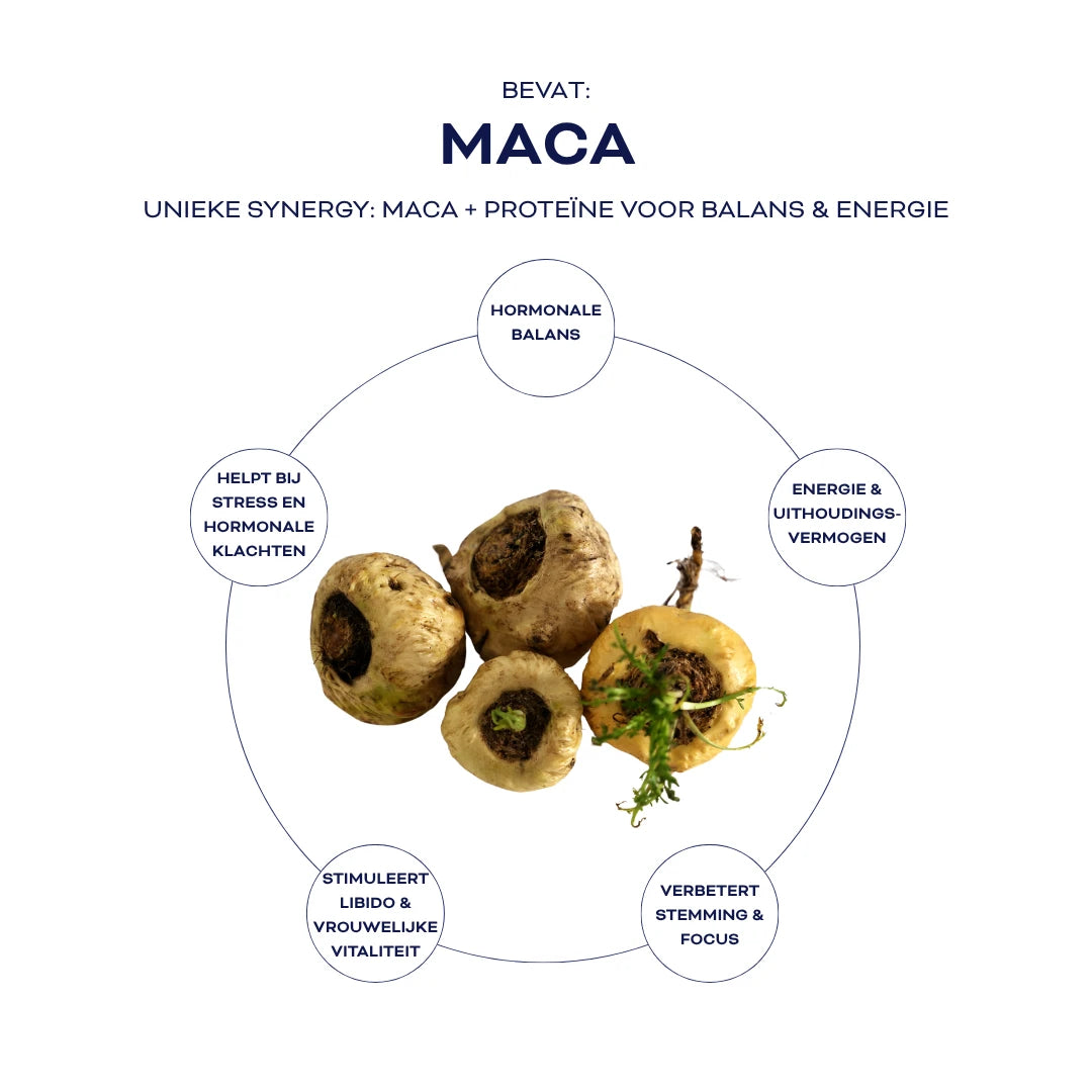 FLOW SHAKE PROTEIN+ - CHOCOLATE CAPPUCCINO