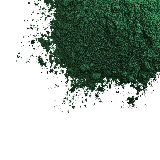 Algen — spirulina, chlorella