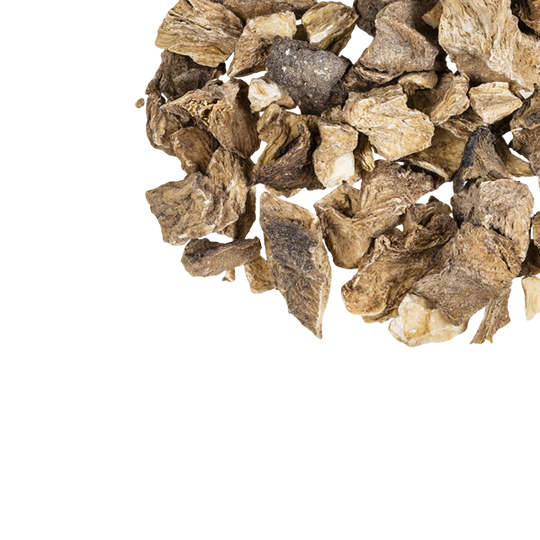 Prebiotische vezels — inuline, acacia, guar