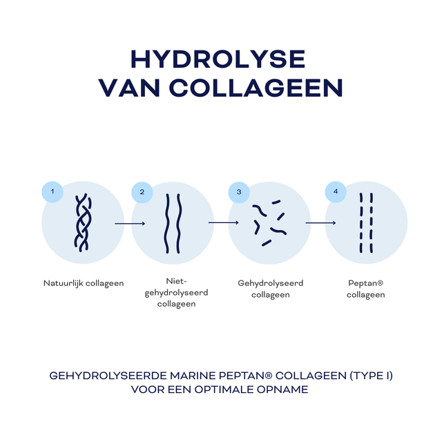 A.M. Glow Collagen+