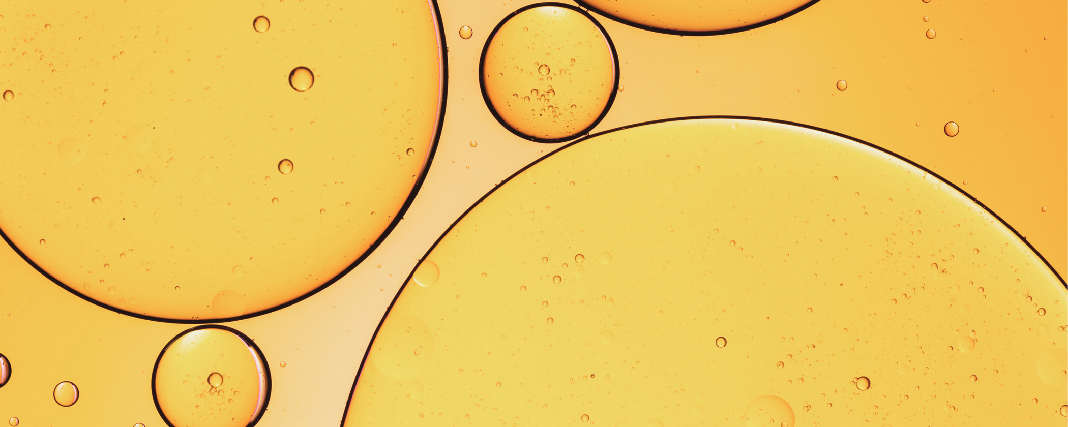 Vitamine-d ingredient – Vitasonar